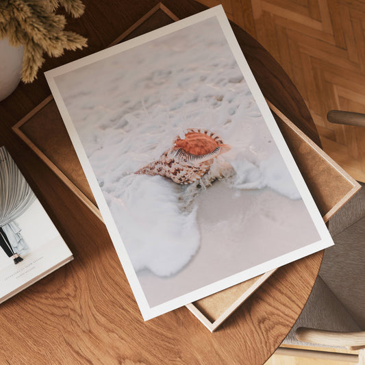 Seashell Mist Poster