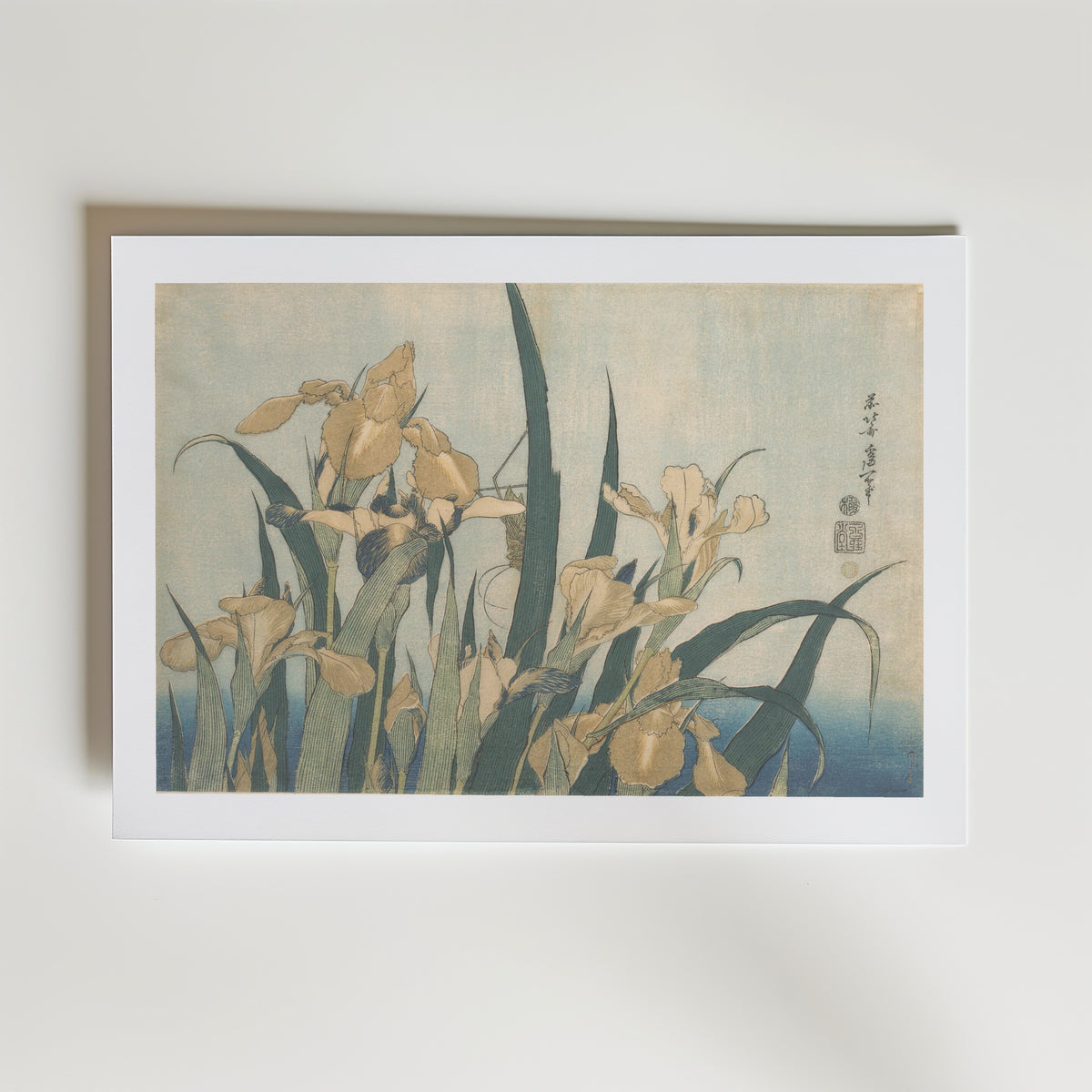 Katsushika Hokusai Irises and Grasshopper 1833 Poster – med passepartout