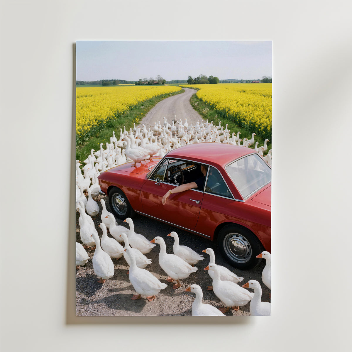 Rapeseed Rush Hour Poster – utan passepartout