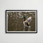 Look At Me! affisch i modern svart ram – stark kontrast och stil, Bozetto poster