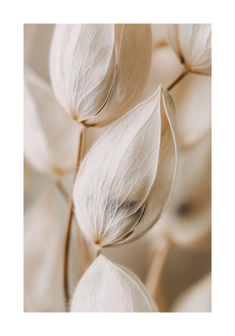 Silken Seeds Elegance Poster