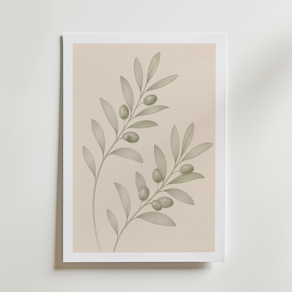 Trailing Olive Sprig affisch inramad i neutral ram – konsttryck från Bozetto – nr 1