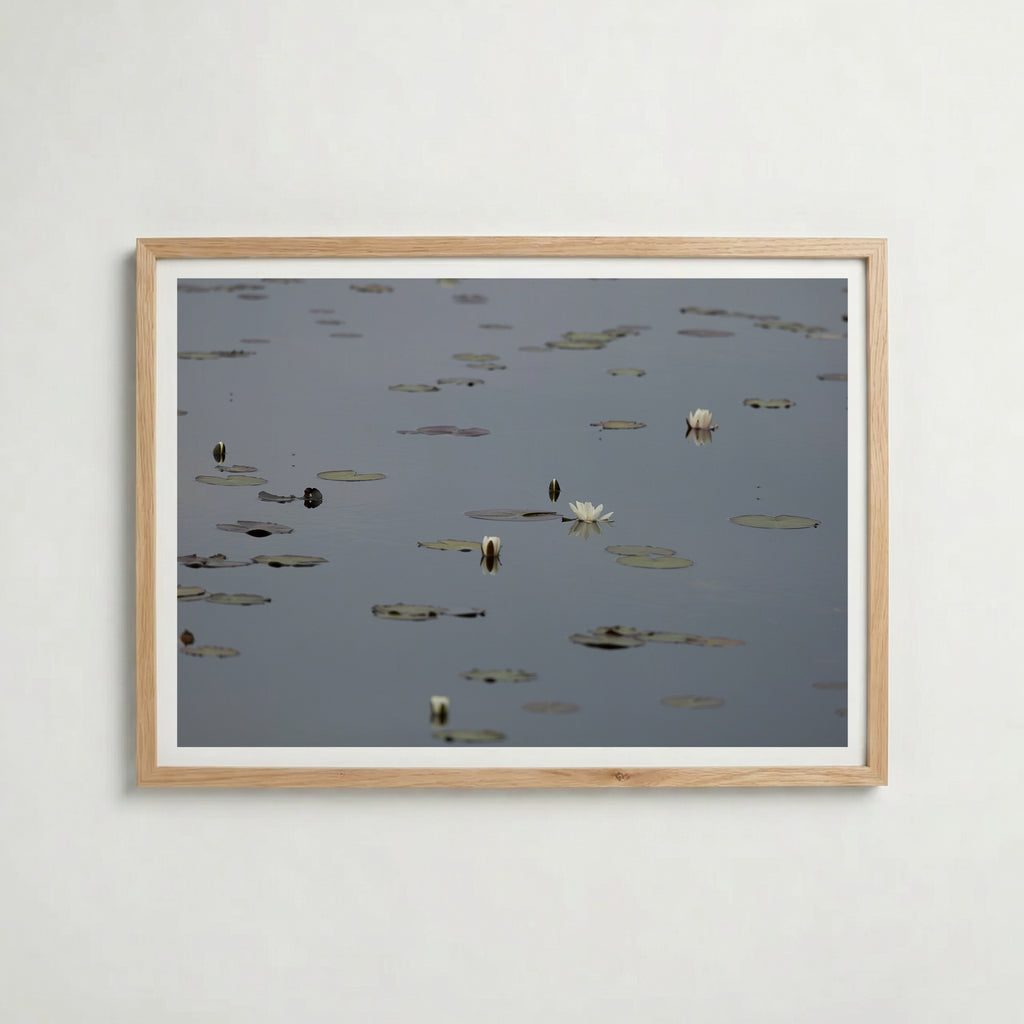 Water Lilies at Maderna i ekram med ljust trä – köp enkelt hos Bozetto affisch i hög kvalitet