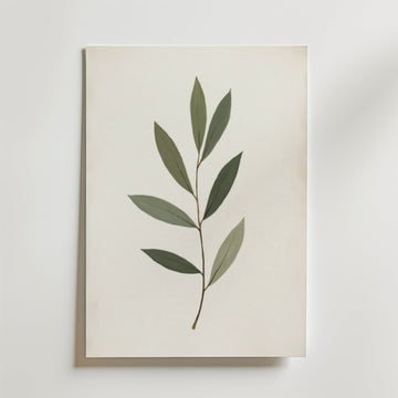 Den minimalistiska postern Eucalyptus Poster från Bozetto visar en grön bladstjälk med sju blad på en benvit bakgrund, tryckt på FSC-certifierat premiumpapper med en lyxig matt finish.