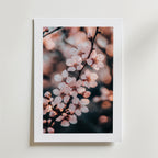 Cherry Blossom – stilfullt konsttryck från Bozetto, tryckt på matt finpapper i hög tryckkvalitet