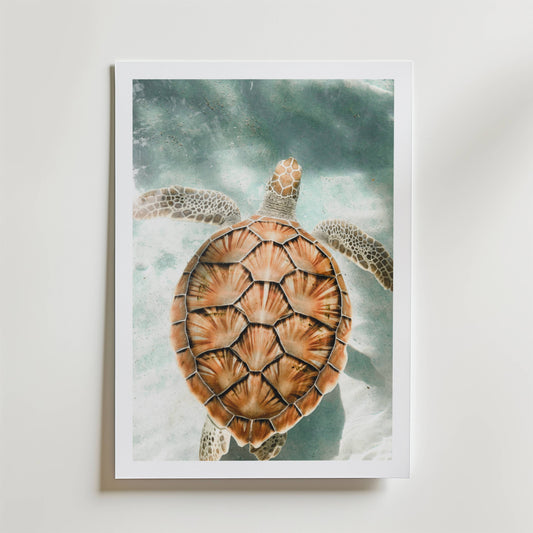 Ocean Turtle Escape Poster