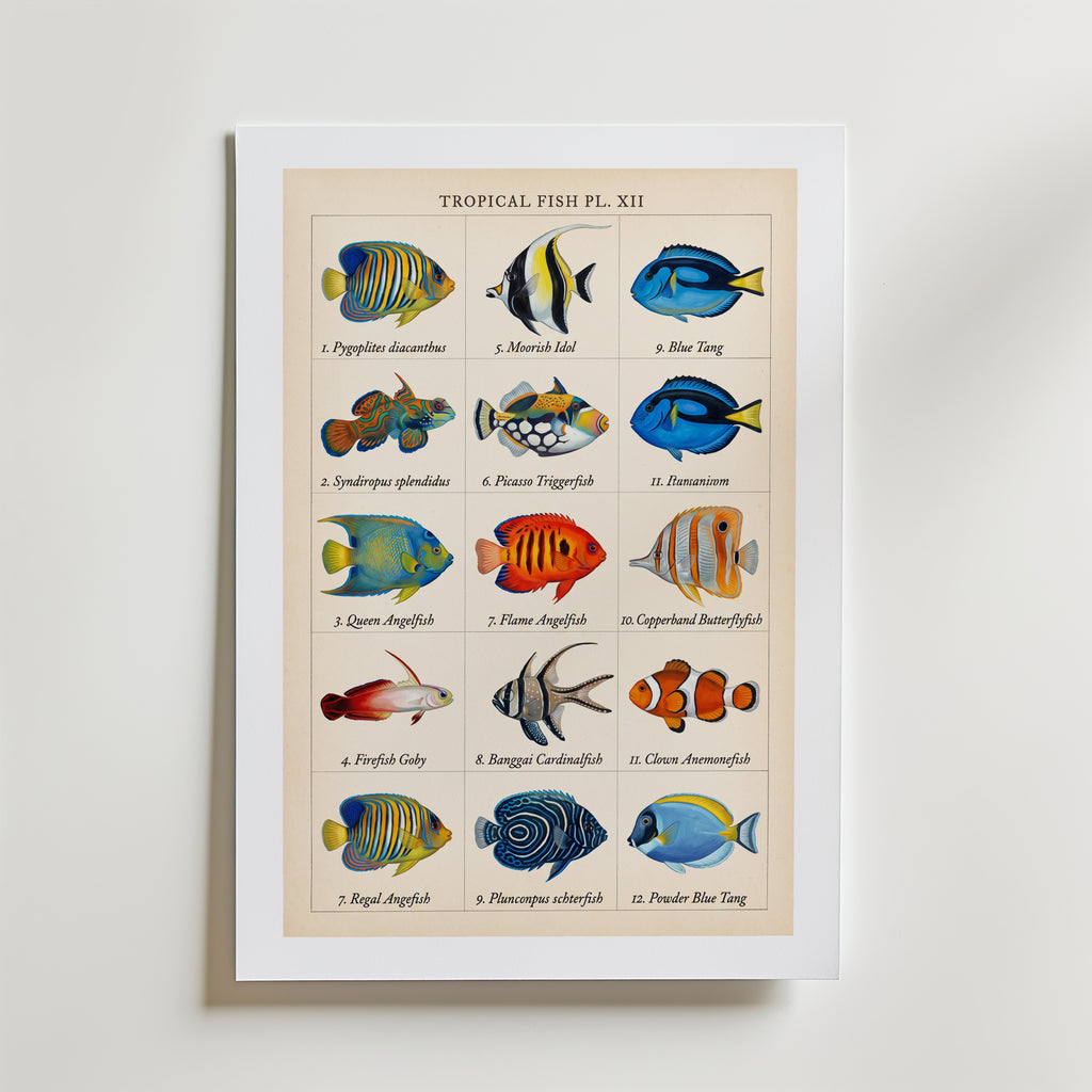Tropical Fish Grid Poster – med passepartout