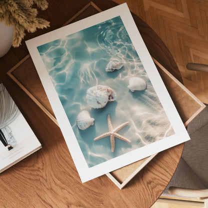 Starfish and Shells Beach Poster
