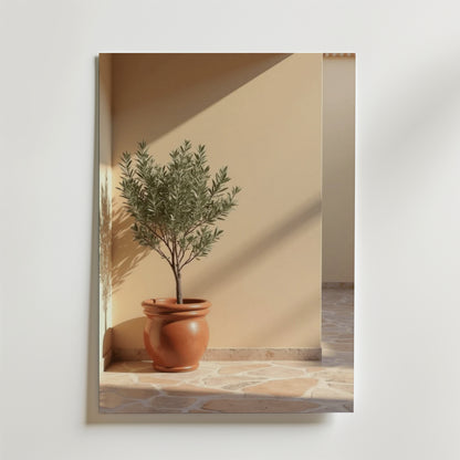 A Terracotta planter with olive tree poster by Bozetto föreställer ett solbelyst olivträd i en terrakottakruka på klinkergolv mot en beige vägg, tryckt på FSC-certifierat premiumpapper - perfekt inspiration för din inredning.