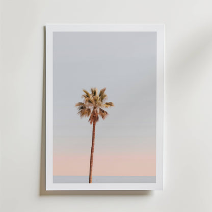Palm Sunset Poster