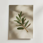Olive branch decor stem – stilfullt konsttryck från Bozetto, tryckt på matt finpapper