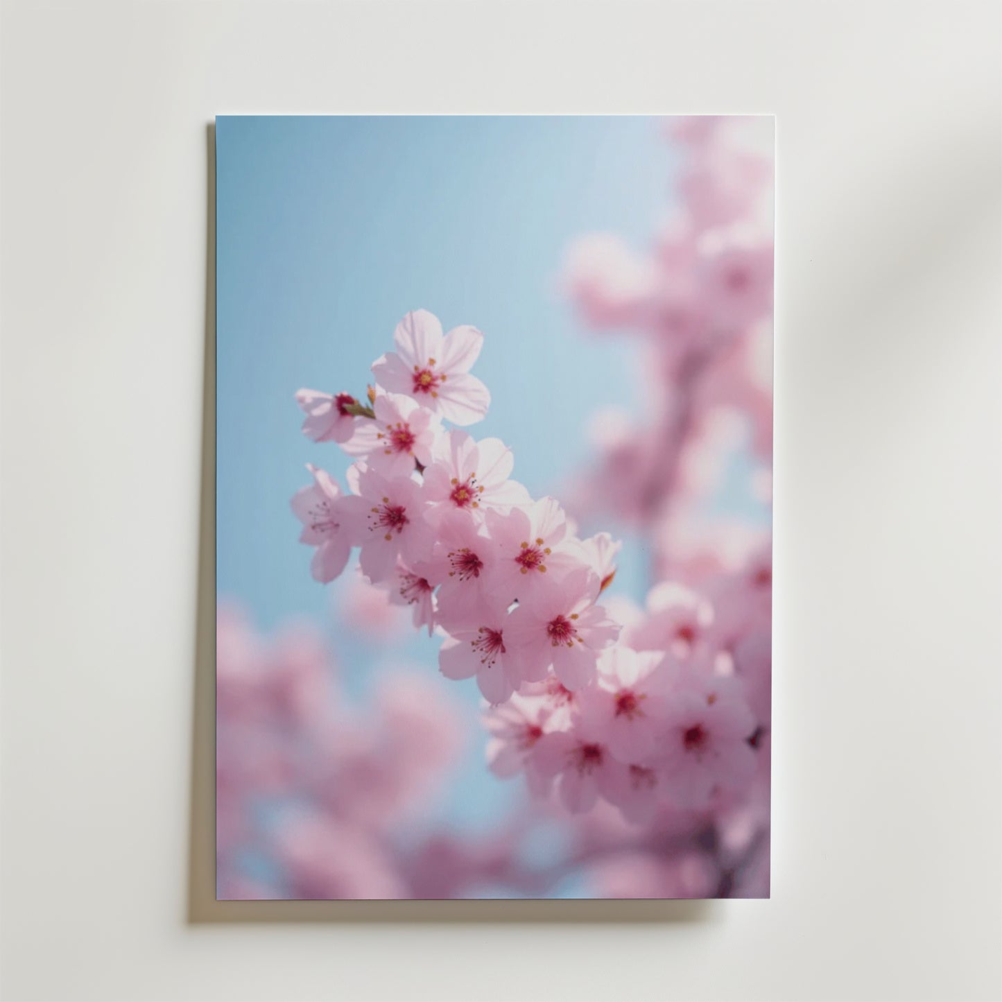 Cherry Blossom Pastel Poster by Bozetto har livfulla rosa blommor med en suddig bakgrund och blå himmel, tryckt på premiumpapper. Perfekt för att ge en mjuk touch till en vit väggdekor.