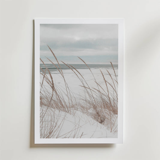 Nordic Shore Dune Poster