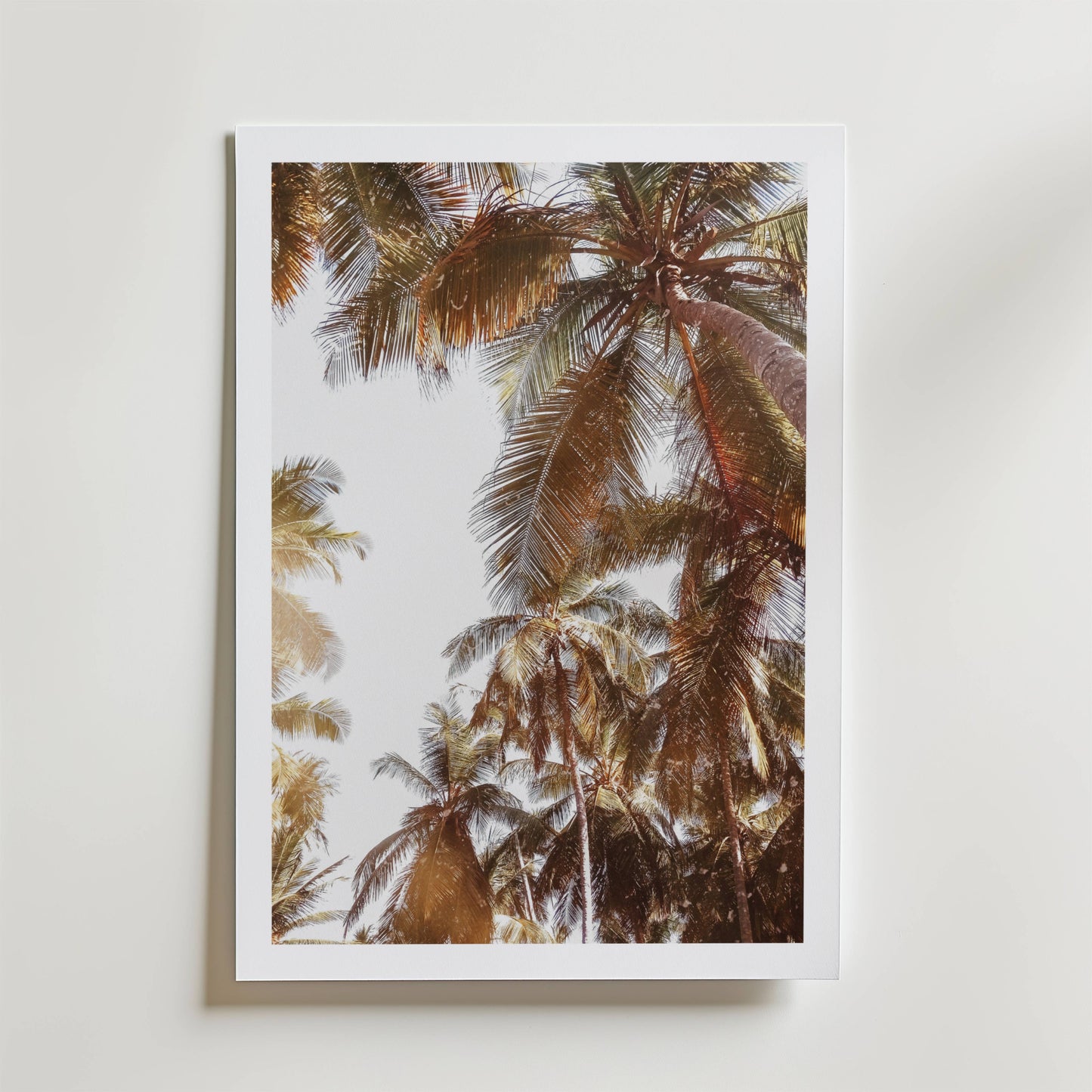 Palm Breeze Skies Poster