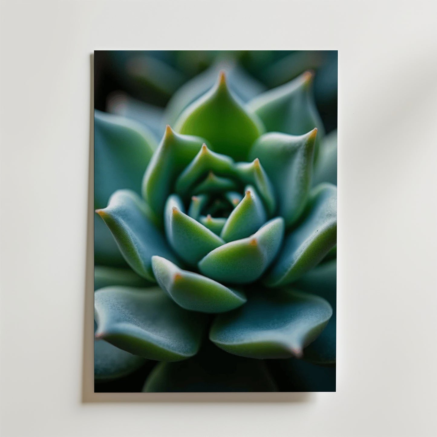 Nature's Geometry Poster by Bozetto visar en närbild av en grön suckulents rosettmönster på en vit bakgrund - perfekt för att skapa harmoni och stil i ditt rum.