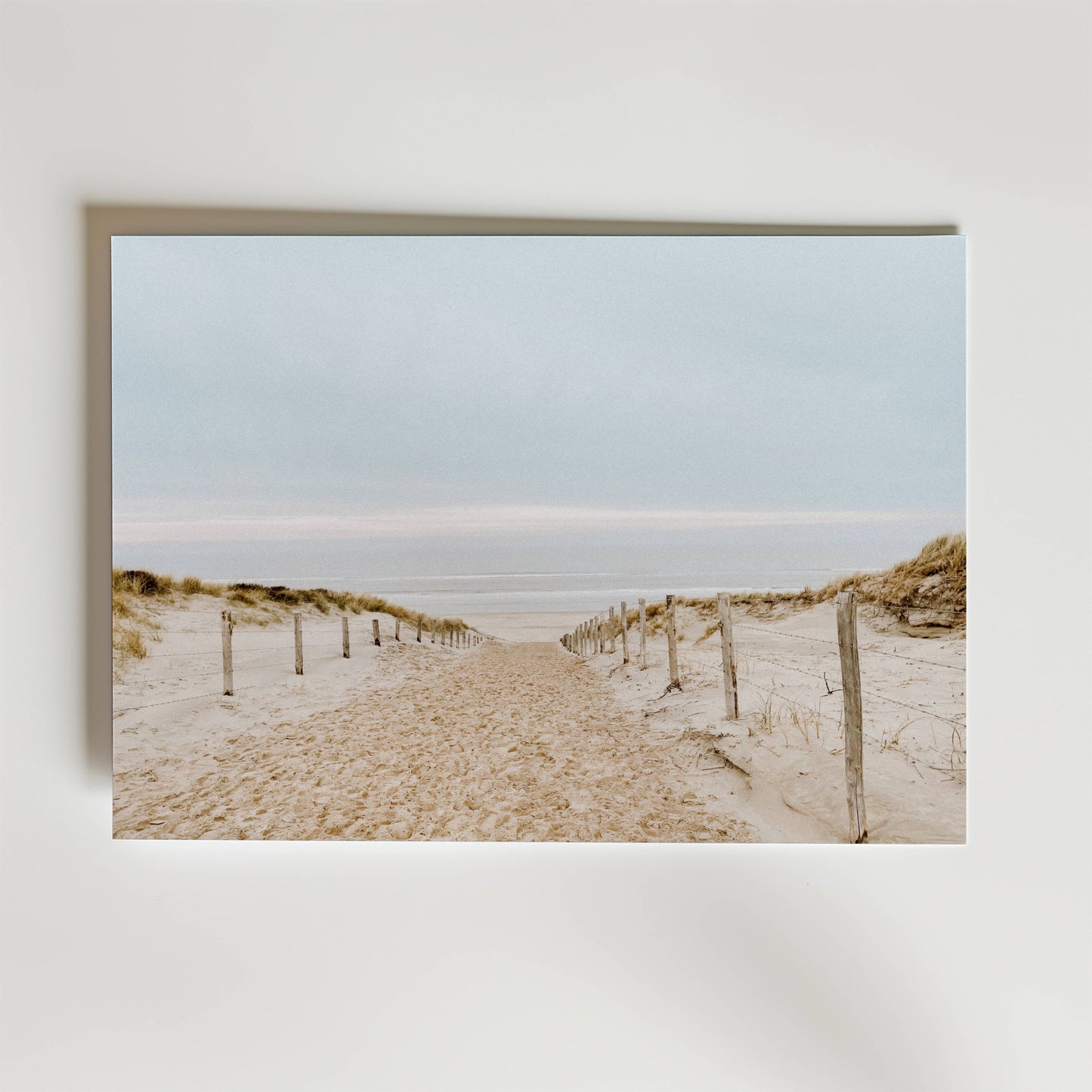 Soft Dune Pathway Poster