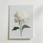 White peony – stilfullt konsttryck från Bozetto, tryckt på matt finpapper i hög tryckkvalitet