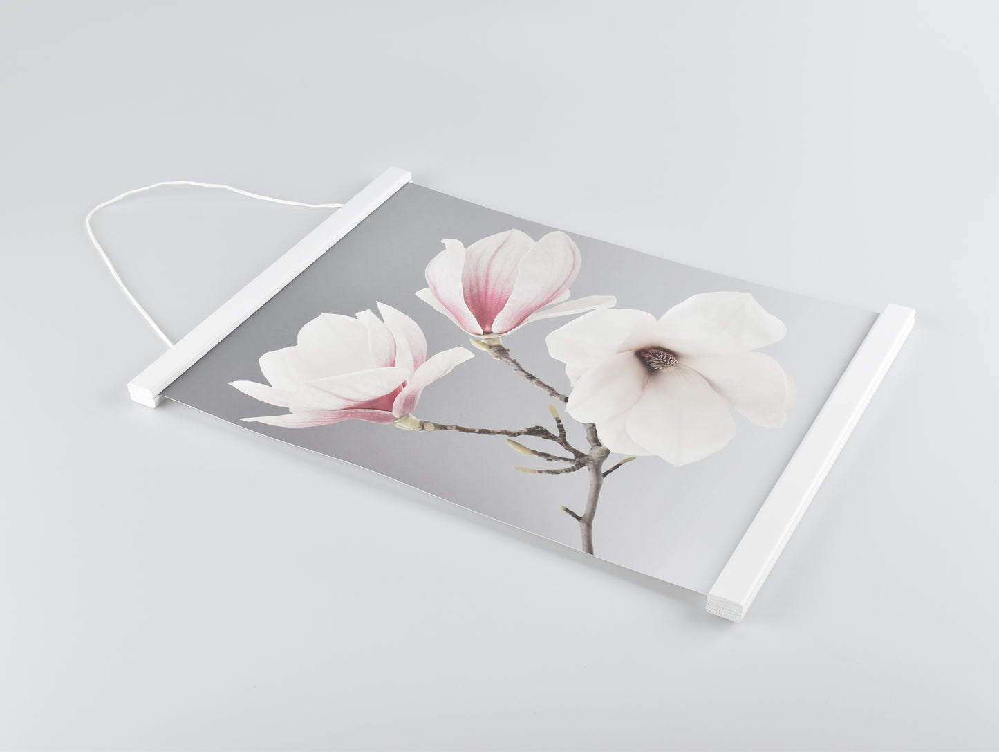 Posterhängare Vit Ek med magnet