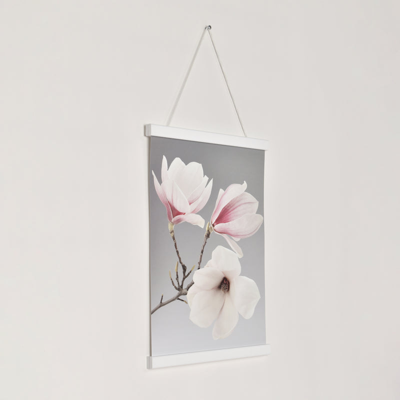 Posterhängare Vit Ek med magnet