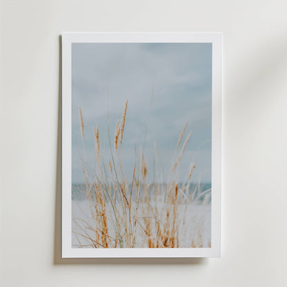 Soft Dune Grass Poster