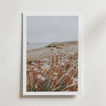 Rustic Meadow Poster