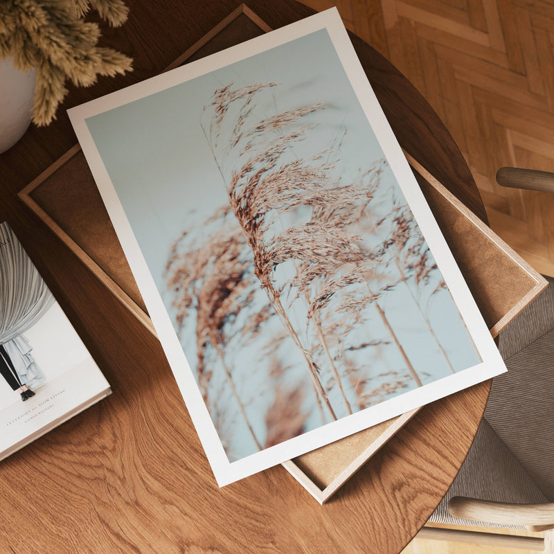 Coastal Breeze Poster