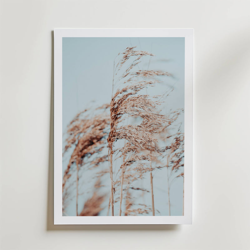 Coastal Breeze Poster