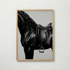 Black Stallion Saddle Poster – ekram