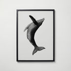 Breaching Whale Poster – svart ram