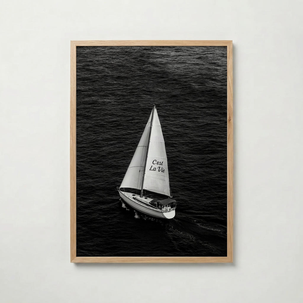 C'est La Vie Poster – ekram