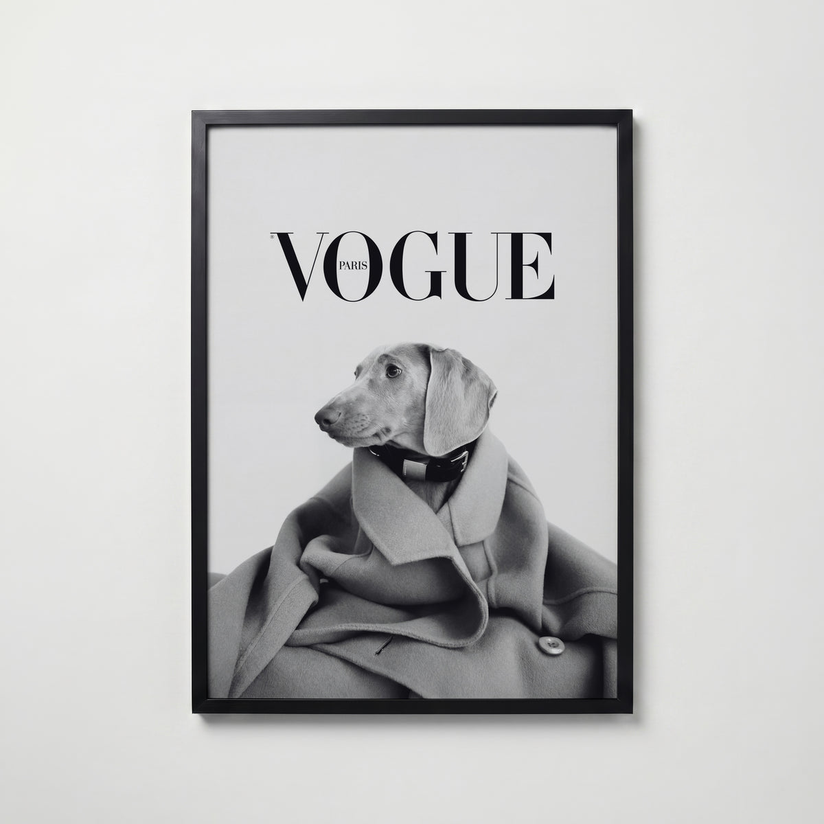 Wrapped Wool Hound Poster – svart ram