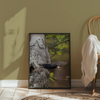 Dipers Starling Poster – canvasbild av Jessica Erlandsson