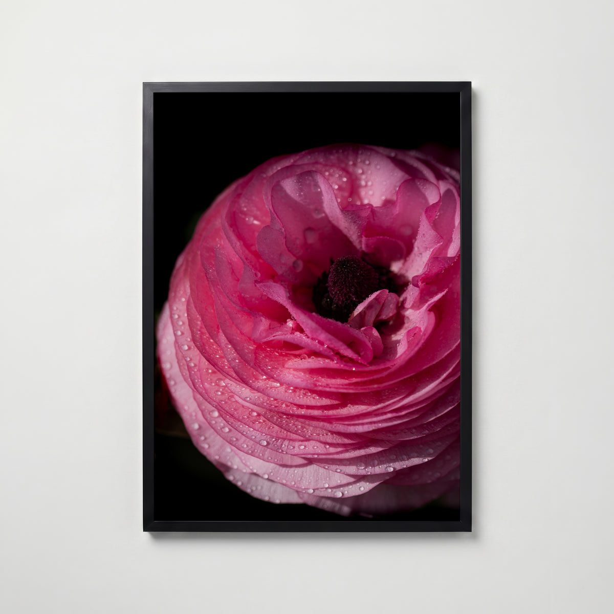 Dreamy Ranunculus Poster i hemmiljö