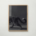 Leopard In Stride Poster – ekram