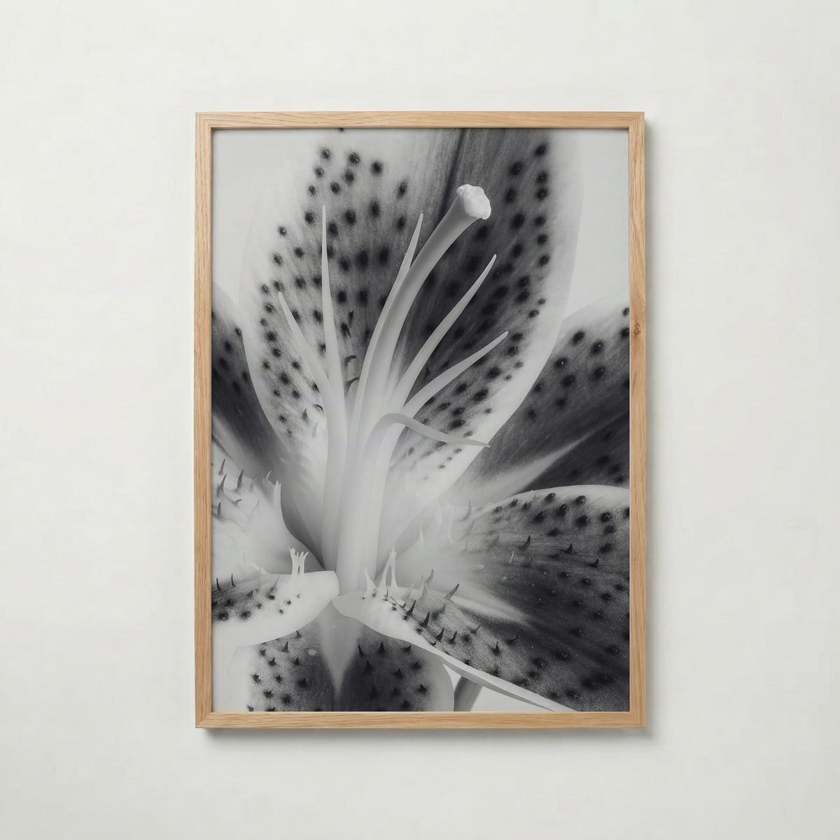 Lily In Bloom Poster – ekram