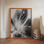 Lily In Bloom Poster – i rum 2
