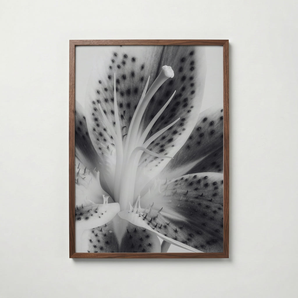 Lily In Bloom Poster – valnötsram