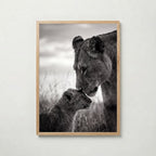 Lioness and Cub Poster – ekram
