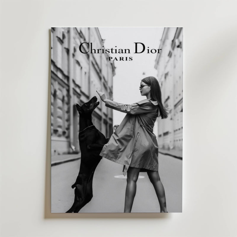 Christian Dior Paris Poster