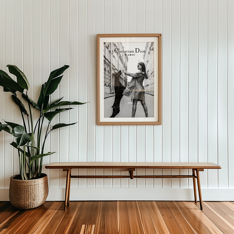 Christian Dior Paris Poster