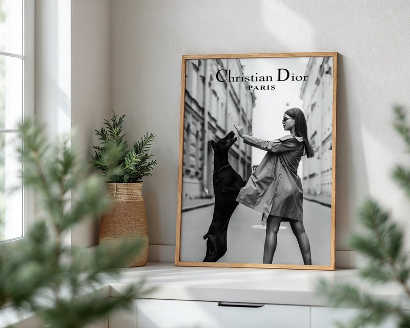 Christian Dior Paris Poster