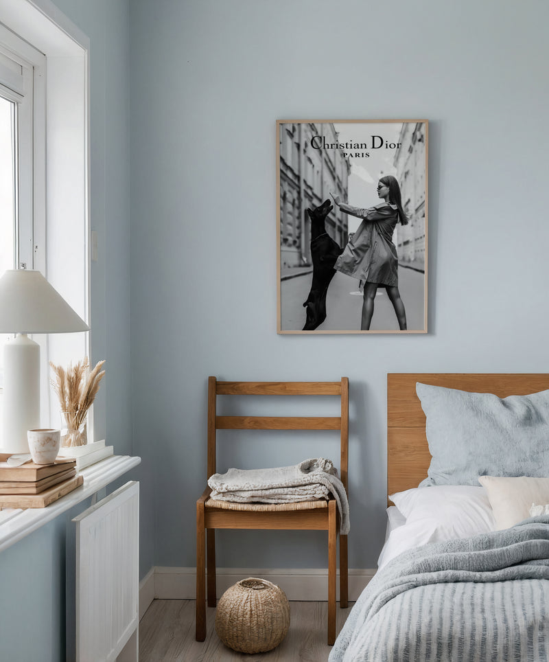 Christian Dior Paris Poster