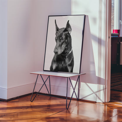 Noir Doberman Poster