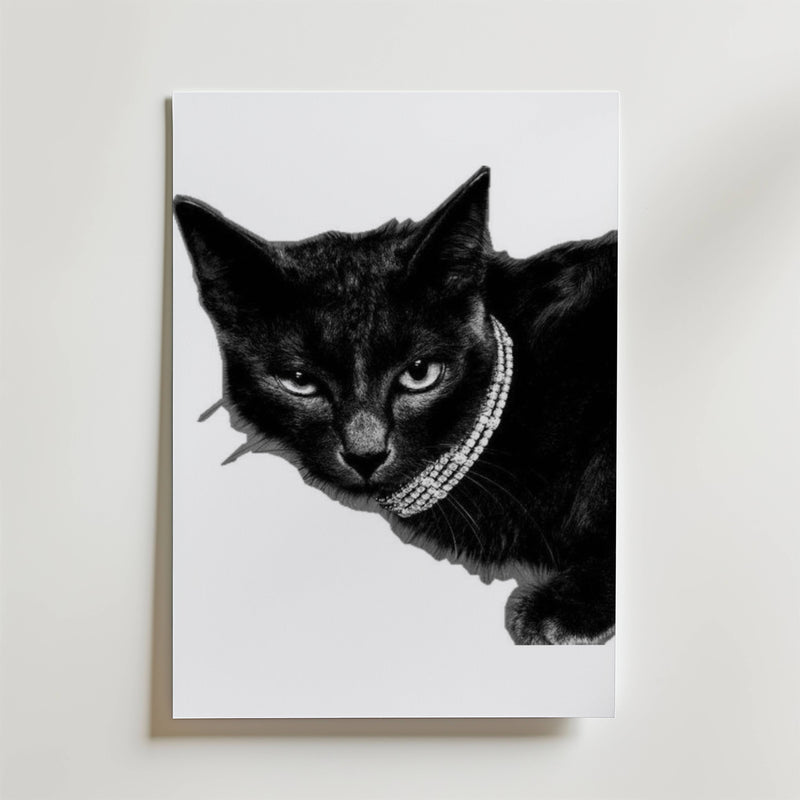 Chic Black Cat Poster