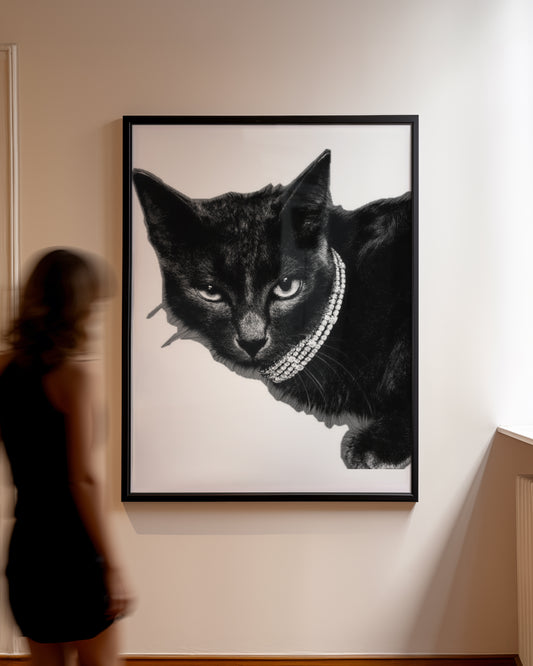Chic Black Cat Poster
