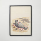 Seal of Approval Poster – svart ram
