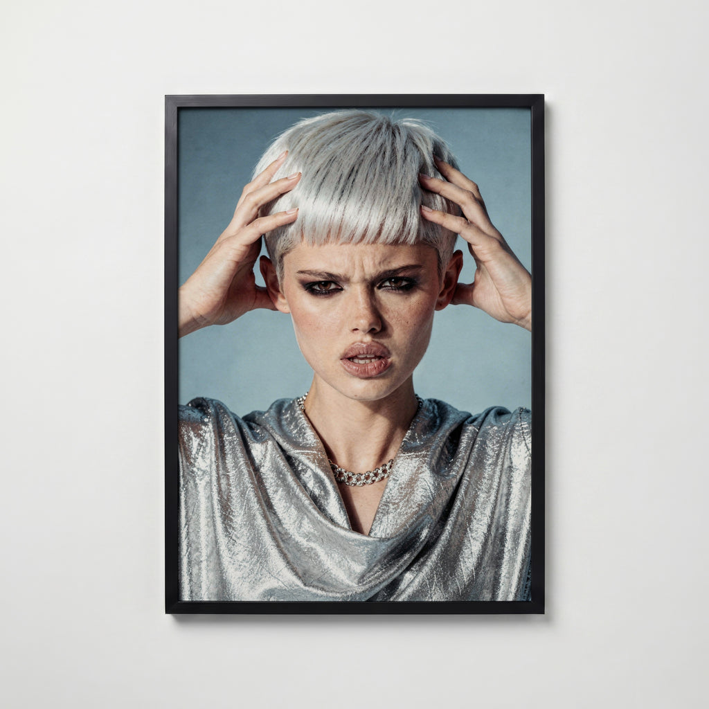 Silver Edge Poster i hemmiljö