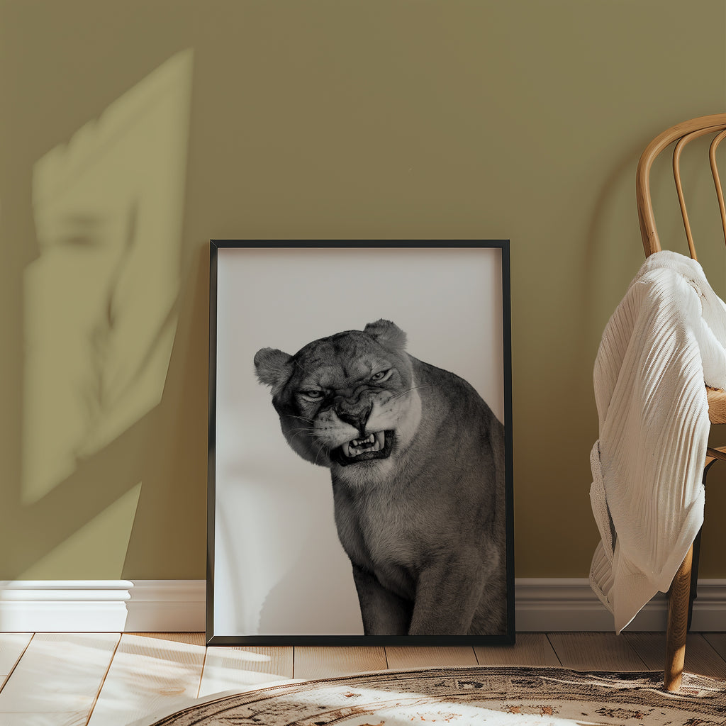 Snarling Lioness Poster – i rum 4