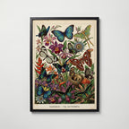 Tropical Lepidoptera Poster i hemmiljö