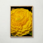 Yellow Heaven Poster med ekram
